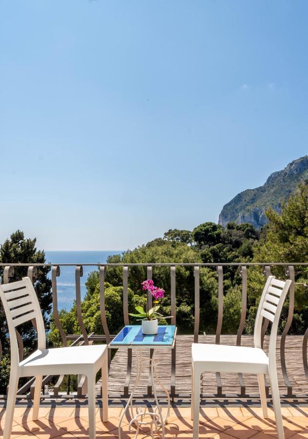 Oliveto Capri Apartments 外观 照片