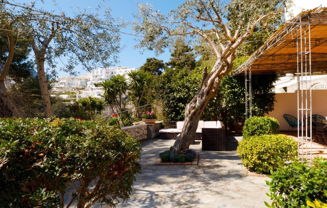 Oliveto Capri Apartments 外观 照片